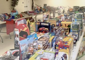 Public Service Profile: Finding a Home at Horse & Hound Hilltop Haven