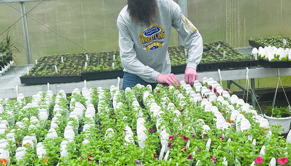 Cool at School: Pioneers’ Greenhouse to Open This Month