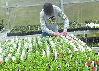 Cool at School: Pioneers’ Greenhouse to Open This Month