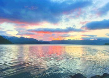 West Greene Grad Pioneers Alaskan Wildlife Career