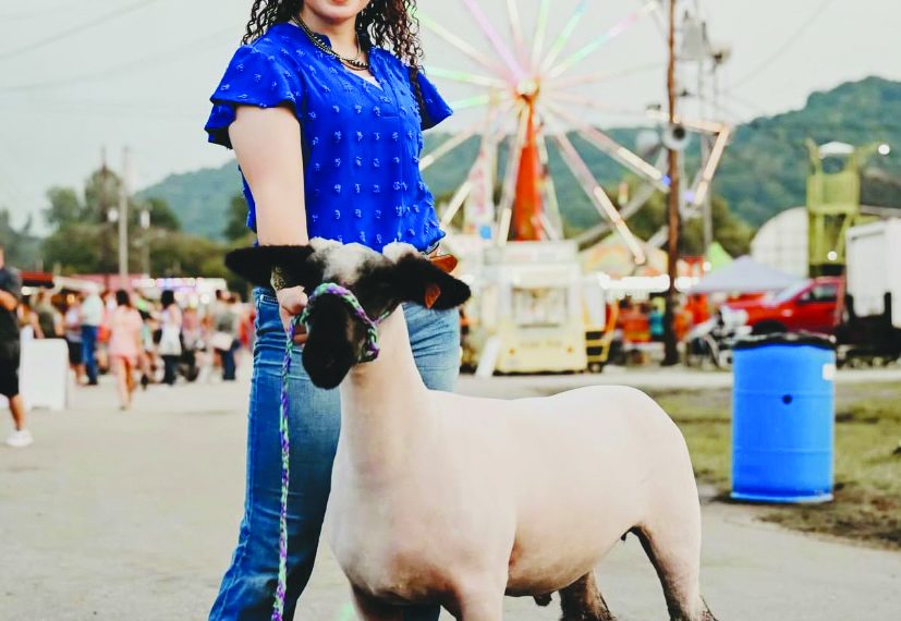 It’s a Family A-Fair